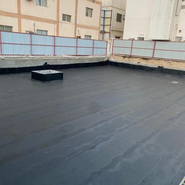 IMG 20251103 WA0079 600x600