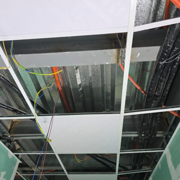 WhatsApp Image 2025 11 04 at 8 26 12 PM 600x600