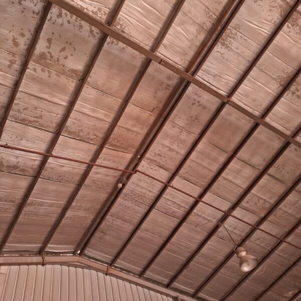 WhatsApp Image 2025 11 04 at 8 28 32 PM 1 600x600