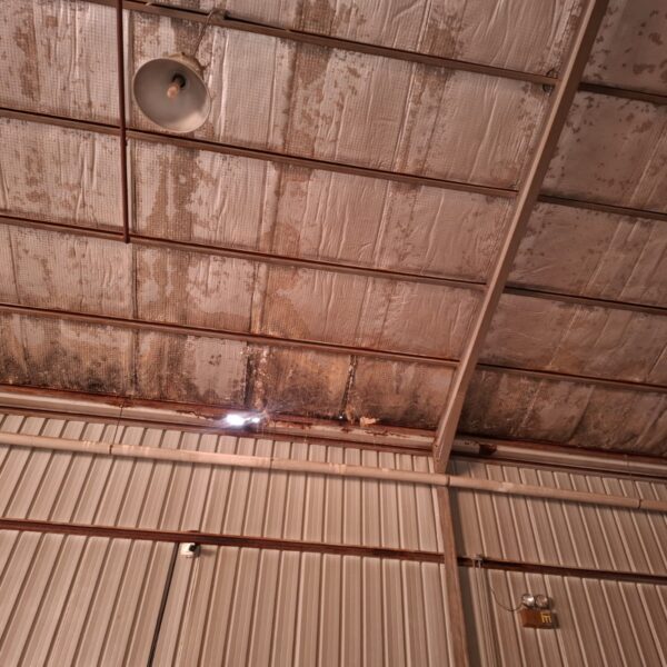 WhatsApp Image 2025 11 04 at 8 28 35 PM 600x600