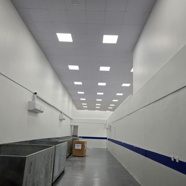 WhatsApp Image 2025 12 24 at 11 18 32 AM 600x600