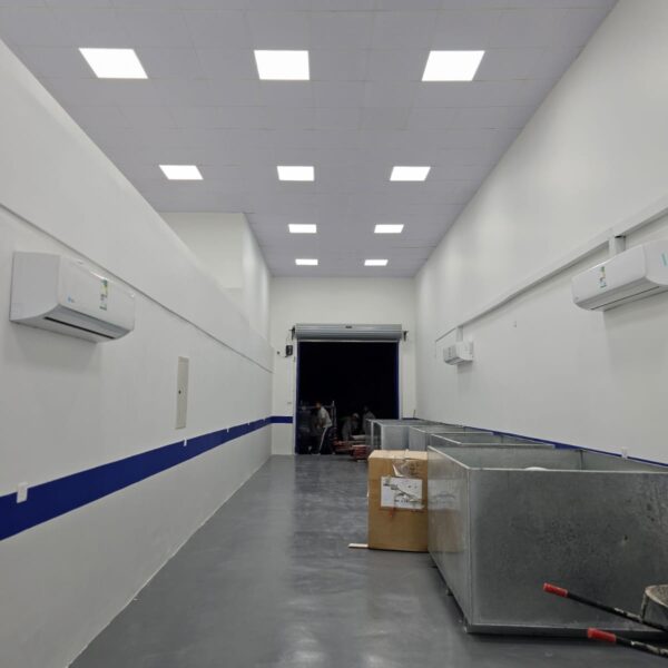 WhatsApp Image 2025 12 24 at 11 18 33 AM 1 600x600